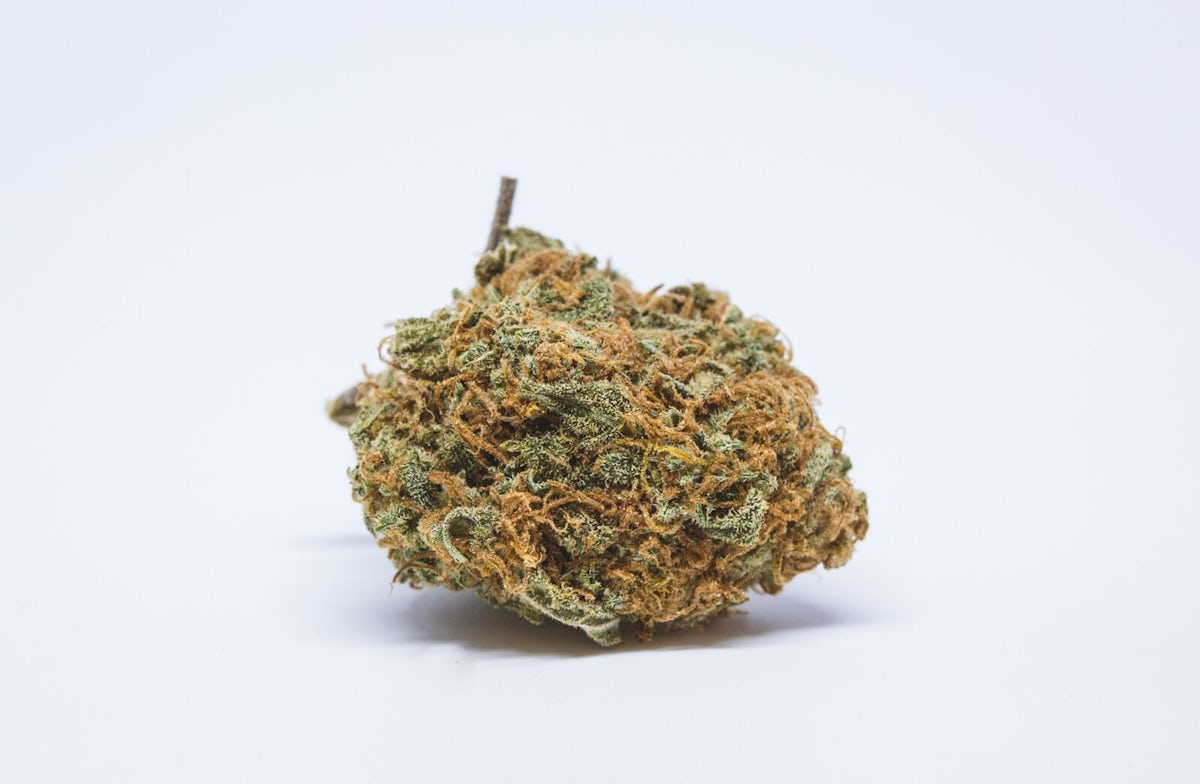 Sour Cheese Strain Of Marijuana Weed Cannabis Herb Herb
