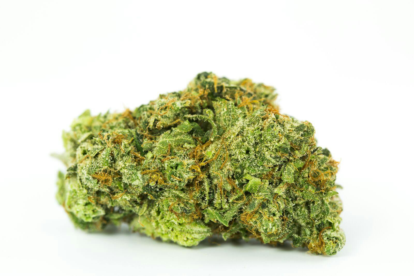 Sour Lemon OG Weed; Sour Lemon OG Cannabis Strain; Sour Lemon Hybrid Marijuana Strain