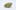 Sugar Kush Weed; Sugar Kush Cannabis Strain; Sugar Kush Indica Marijuana Strain