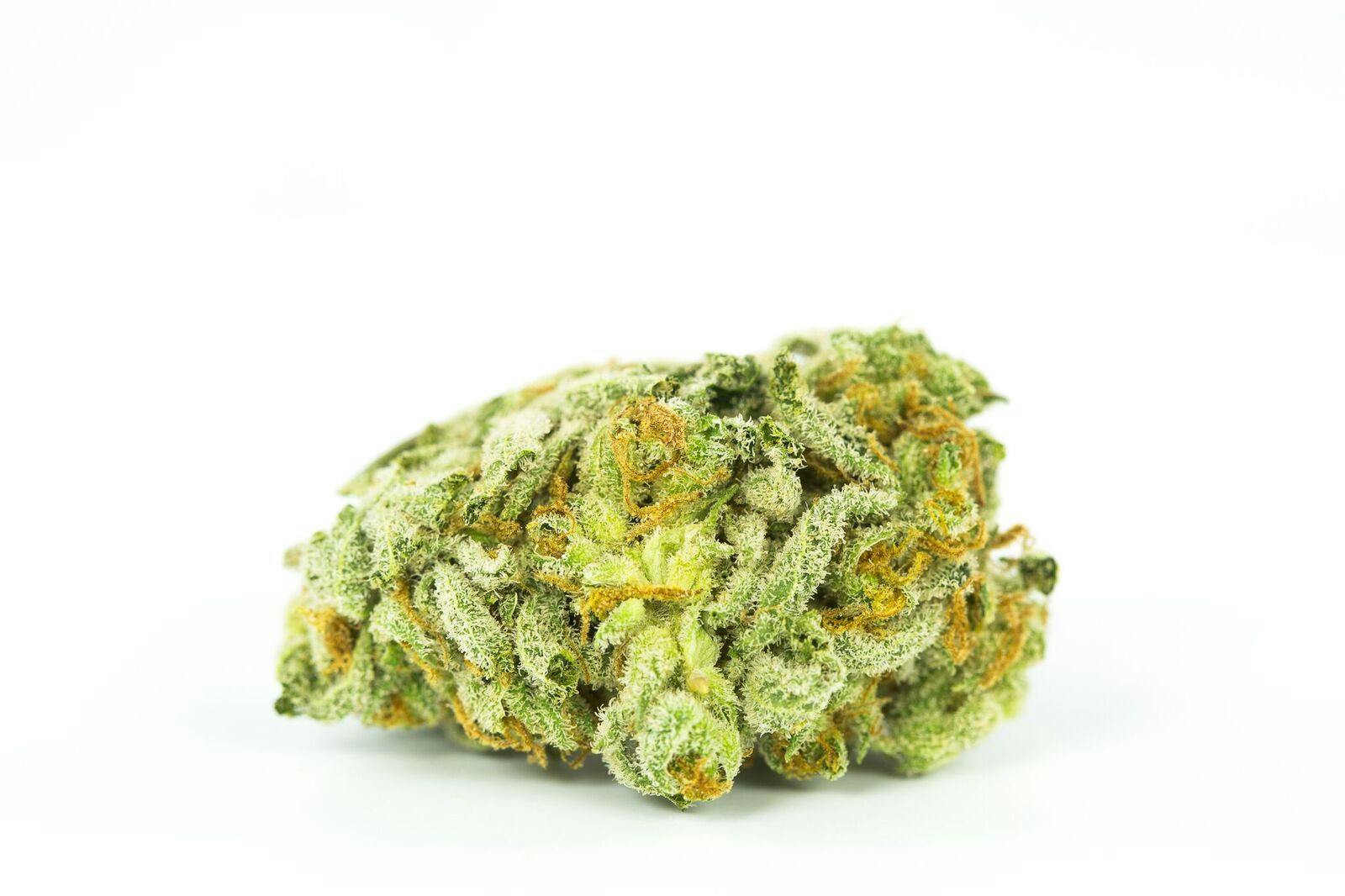 Tangerine Power Weed; Tangerine Power Cannabis Strain; Tangerine Power Hybrid Marijuana Strain