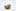 Tangilope Weed; Tangilope Cannabis Strain; Tanglilope Sativa Marijuana Strain