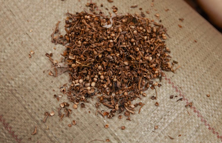 This is the Cheapest Weed in the World2 Where You Can Find the Cheapest Weed in the World