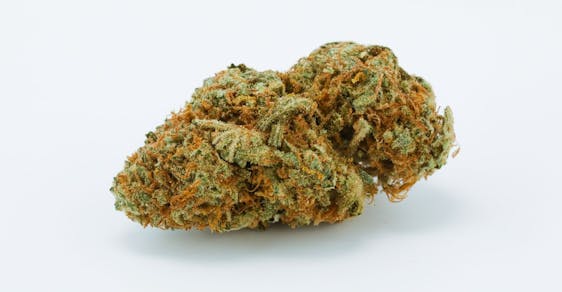 White Gold Weed; White Gold Cannabis Strain; White Gold Hybrid Marijuana Strain