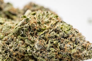 Wonder Woman Marijuana Strain