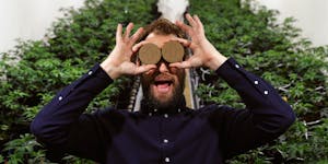 How Weed Becomes Hash