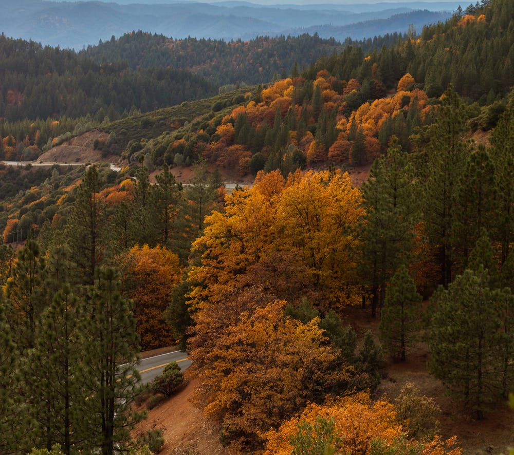 salmon mountains 2 of 4 How to store your marijuana for maximum flavor and potency