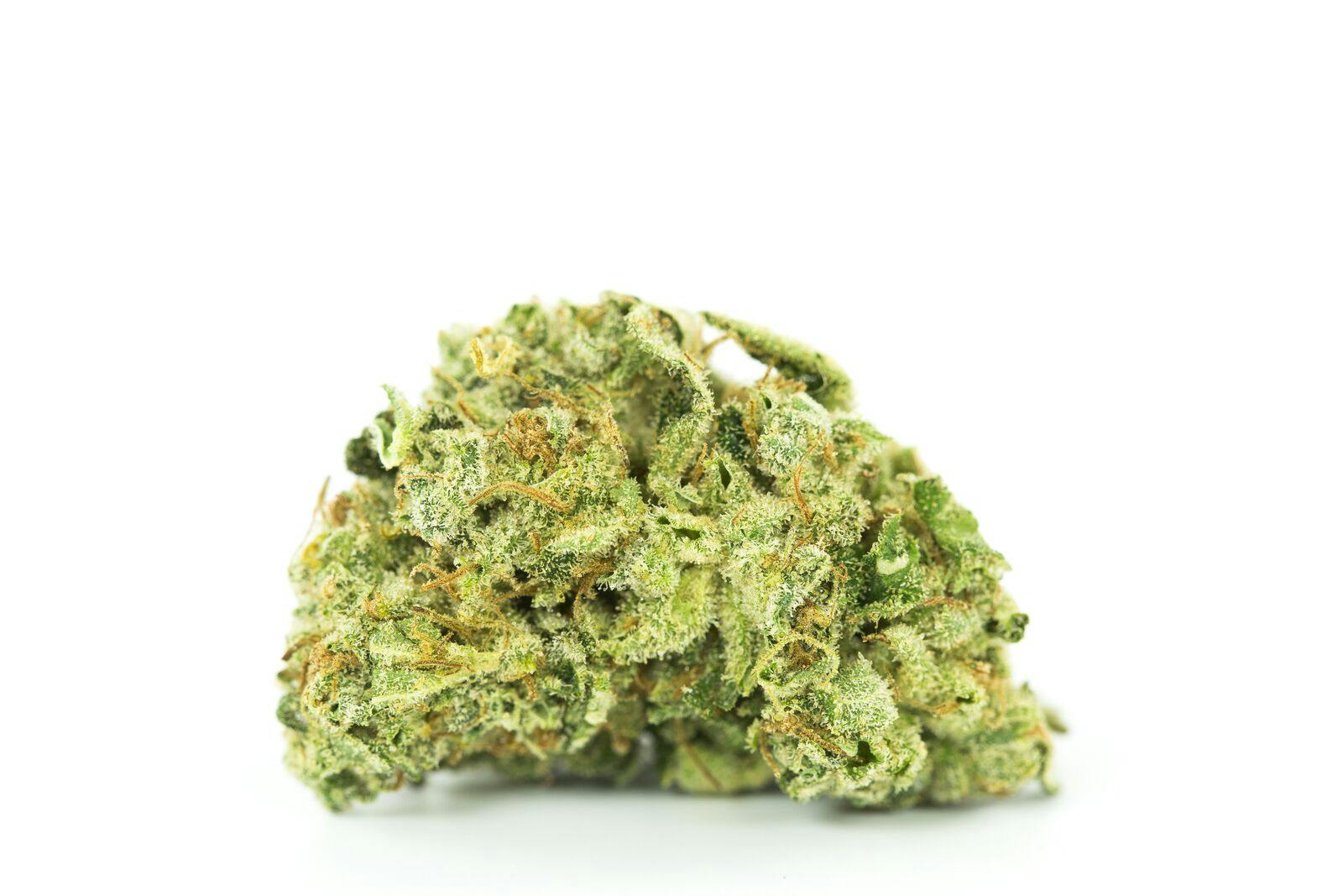 Alien Stardawg Weed; Alien Stardawg Cannabis Strain; Alien Stardawg Hybrid Cannabis Strain