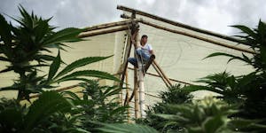 Photographer captures the tranquil life inside “The Lost City Of Marijuana”