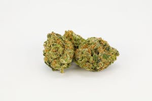 Cali Gold Marijuana Strain