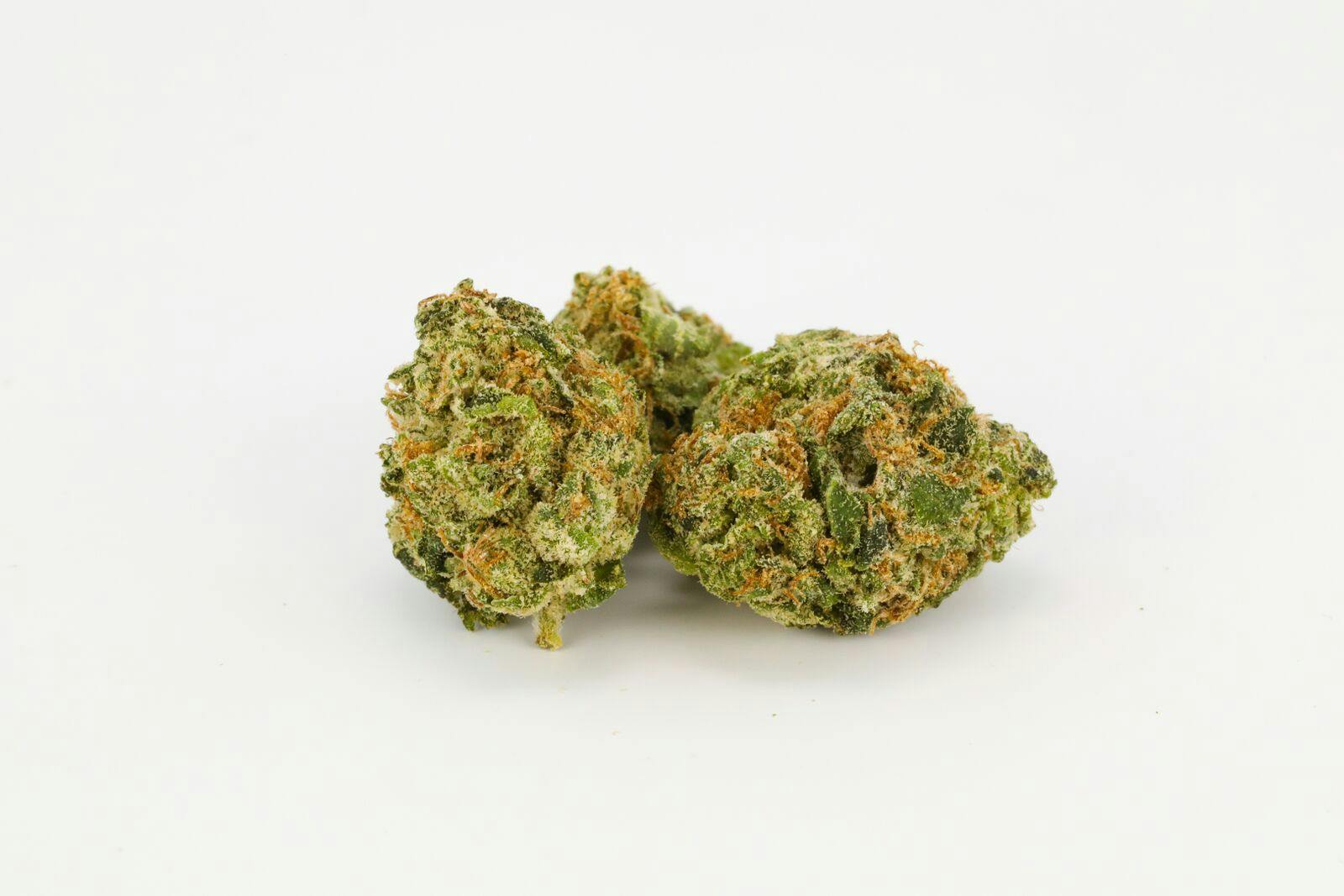 Cali Gold Weed; Cali Gold Cannabis Strain; Cali Gold Hybrid Marijuana Strain