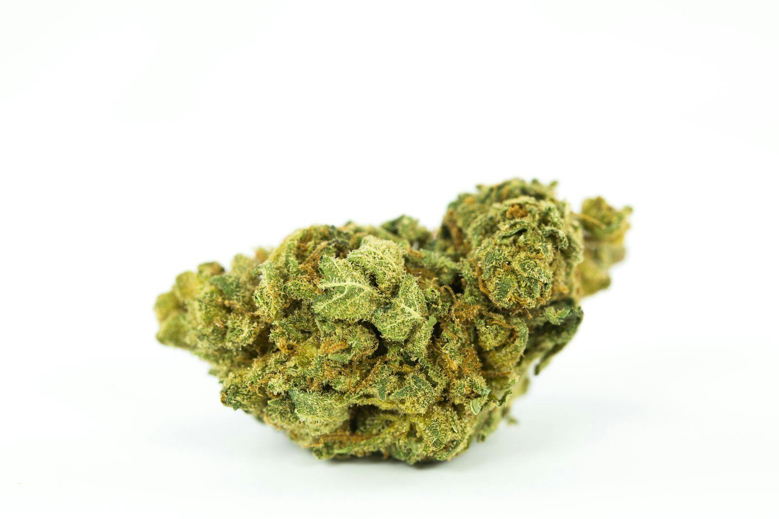Cannalope Kush Weed; Cannalope Cannabis Strain; Cannalope Hybrid Marijuana Strain