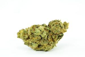 Cannalope Kush Marijuana Strain