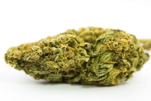 Chiesel Marijuana Strain