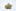 Citrix Weed; Citrix Cannabis Strain; Citrix Hybrid Marijuana Strain