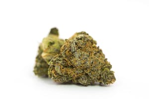 Durban Berry Marijuana Strain