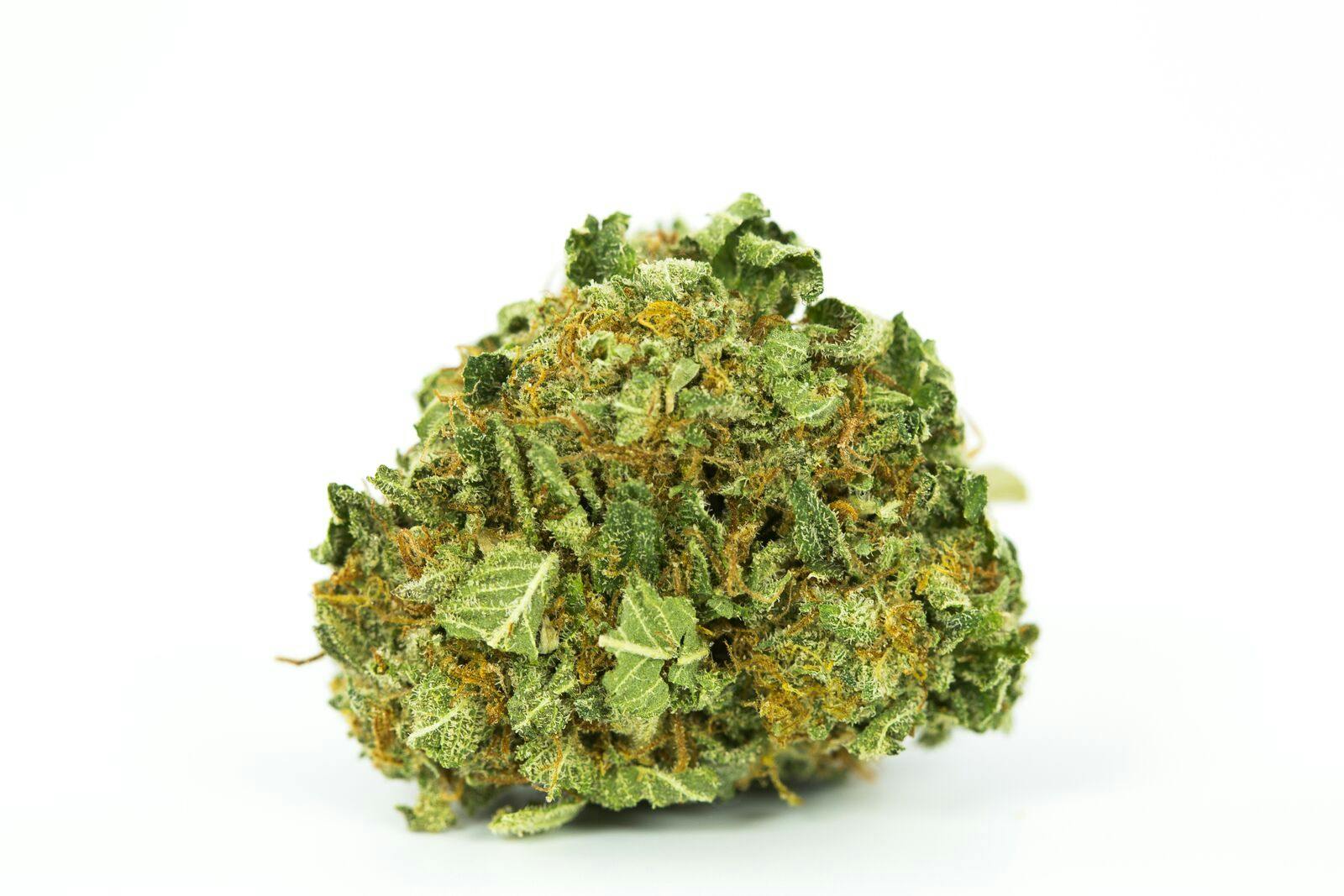 Face Off OG Weed; Face Off OG Cannabis Strain; Face Off OG Indica Marijuana Strain