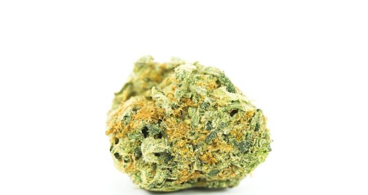 Golden Ticket Weed; Golden Ticket Cannabis Strain; Golden Ticket Hybrid Marijuana Strain