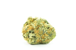 Golden Ticket Marijuana Strain