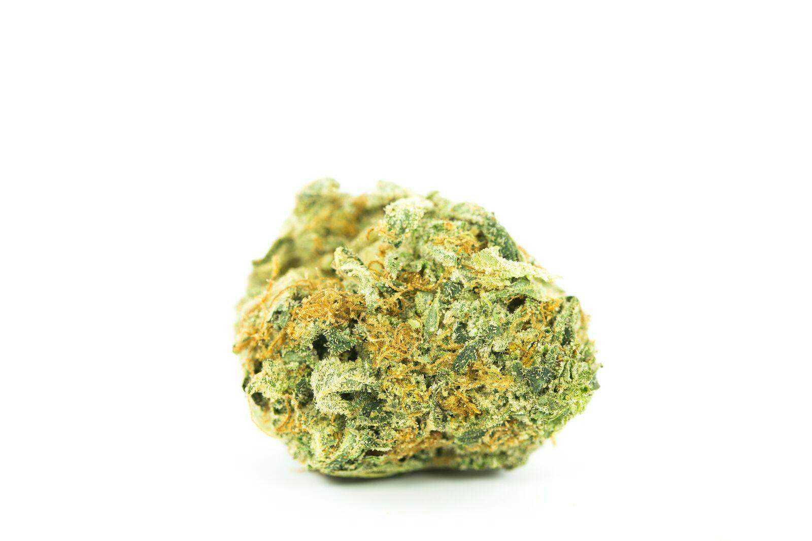 Golden Ticket Weed; Golden Ticket Cannabis Strain; Golden Ticket Hybrid Marijuana Strain