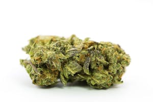 Grand Master Kush Marijuana Strain