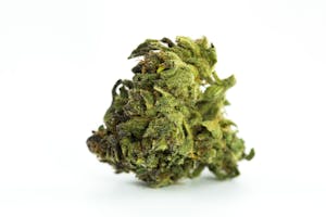 Green Dragon Marijuana Strain