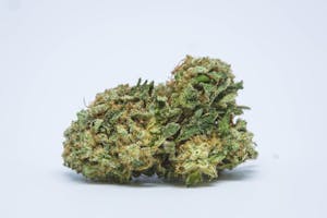 Green Haze Marijuana Strain