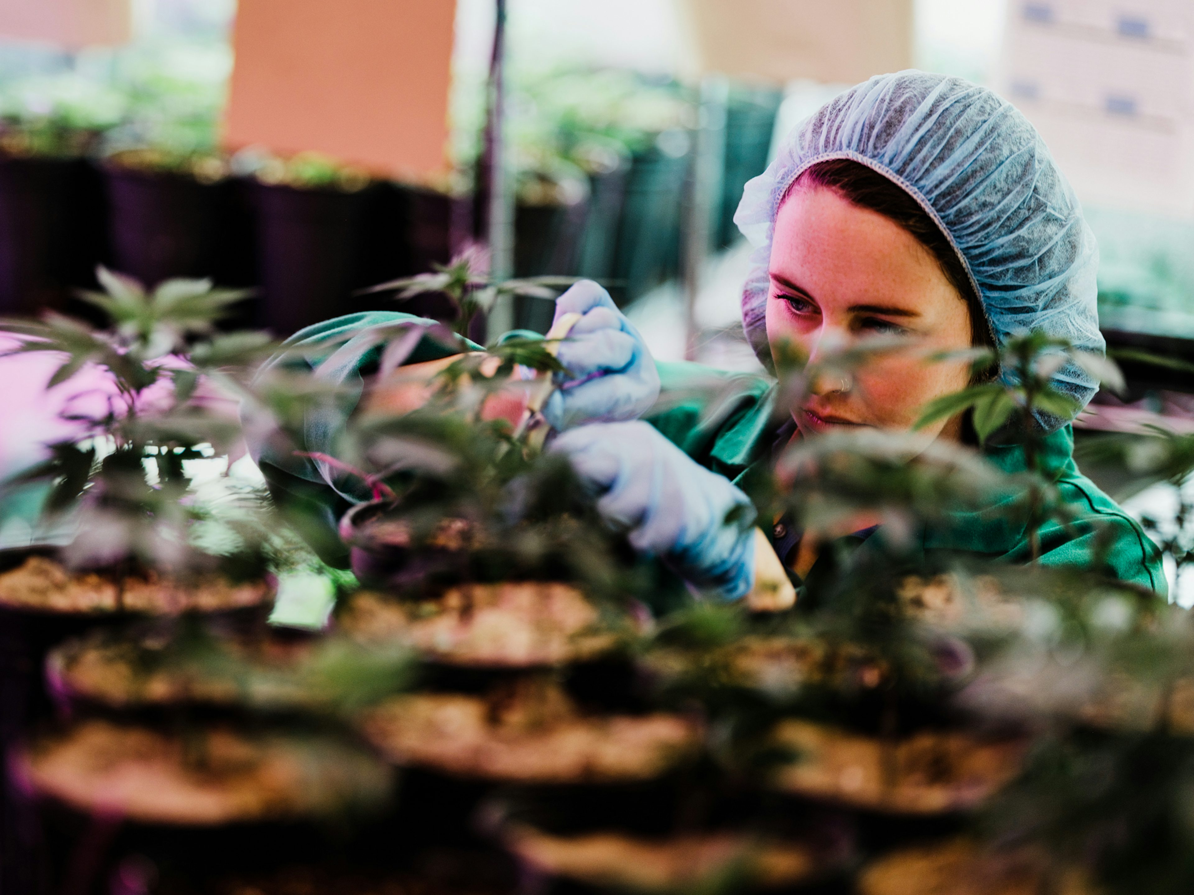 Can you use any fish for aquaponics How A Zambian Entrepreneur Is Helping Farmers In Her Country And Helping Battle Climate Change