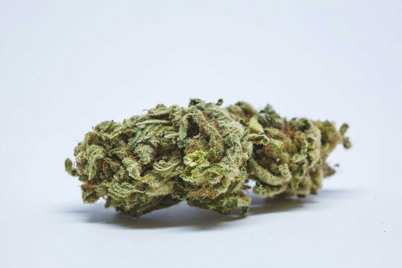 Hawaiian Punch Weed; Hawaiian Punch Cannabis Strain; Hawaiian Punch Sativa Marijuana Strain