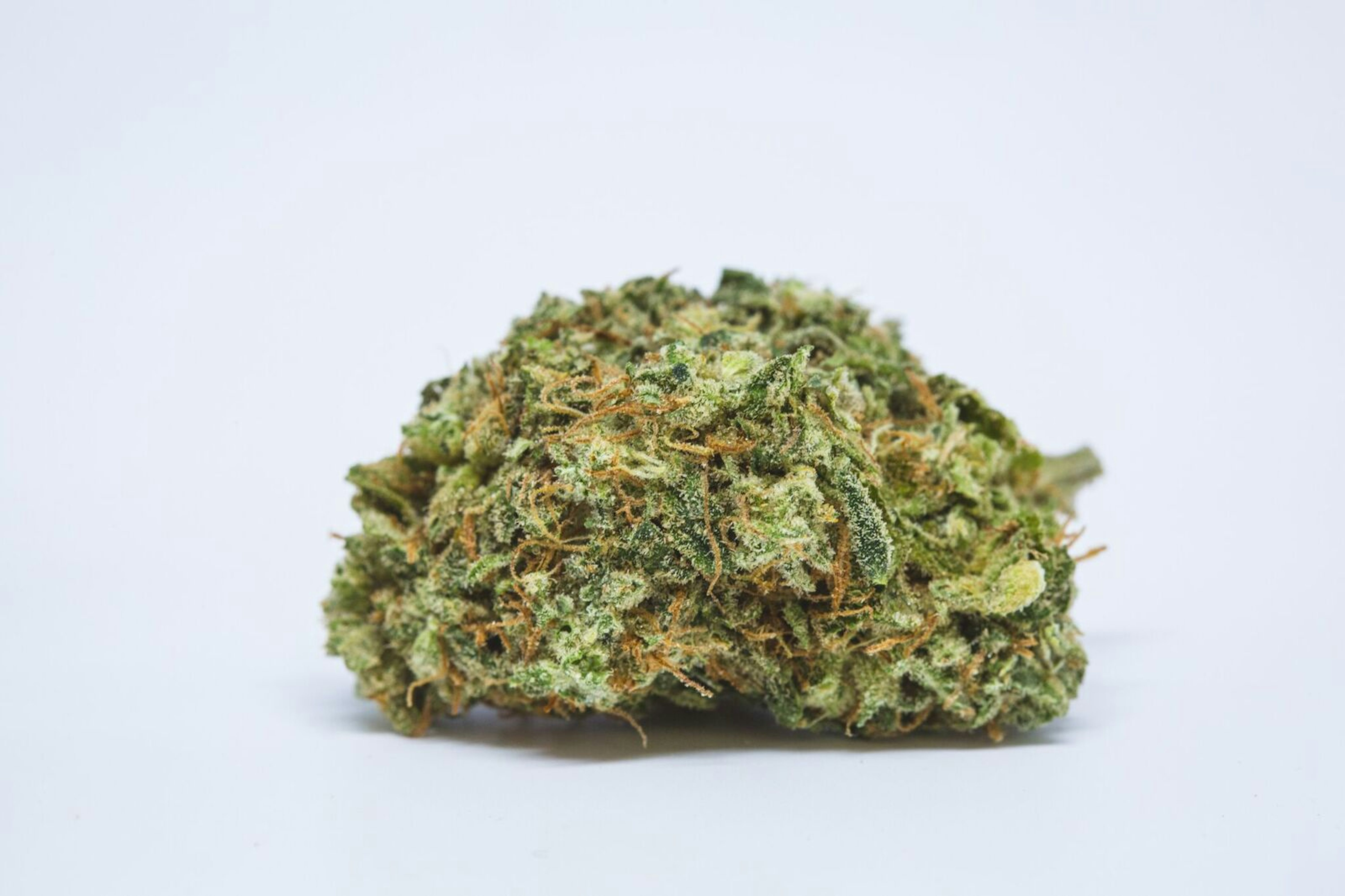 Head Cheese Strain of Marijuana | Weed | Cannabis | Herb | Herb