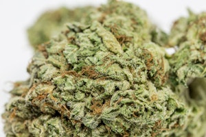 Jedi OG Marijuana Strain