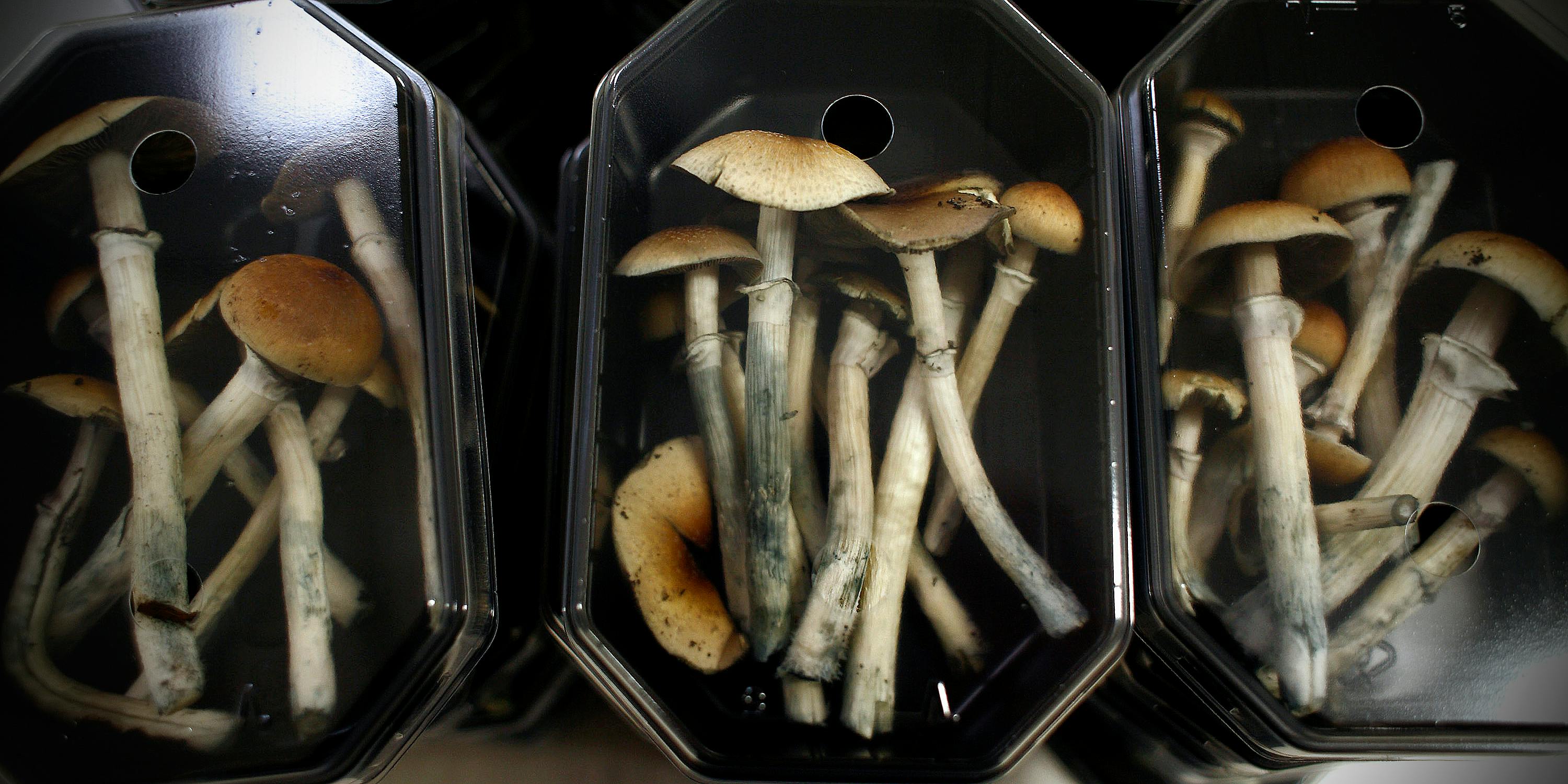 Will Psychedelics Go Corporate Like Cannabis?