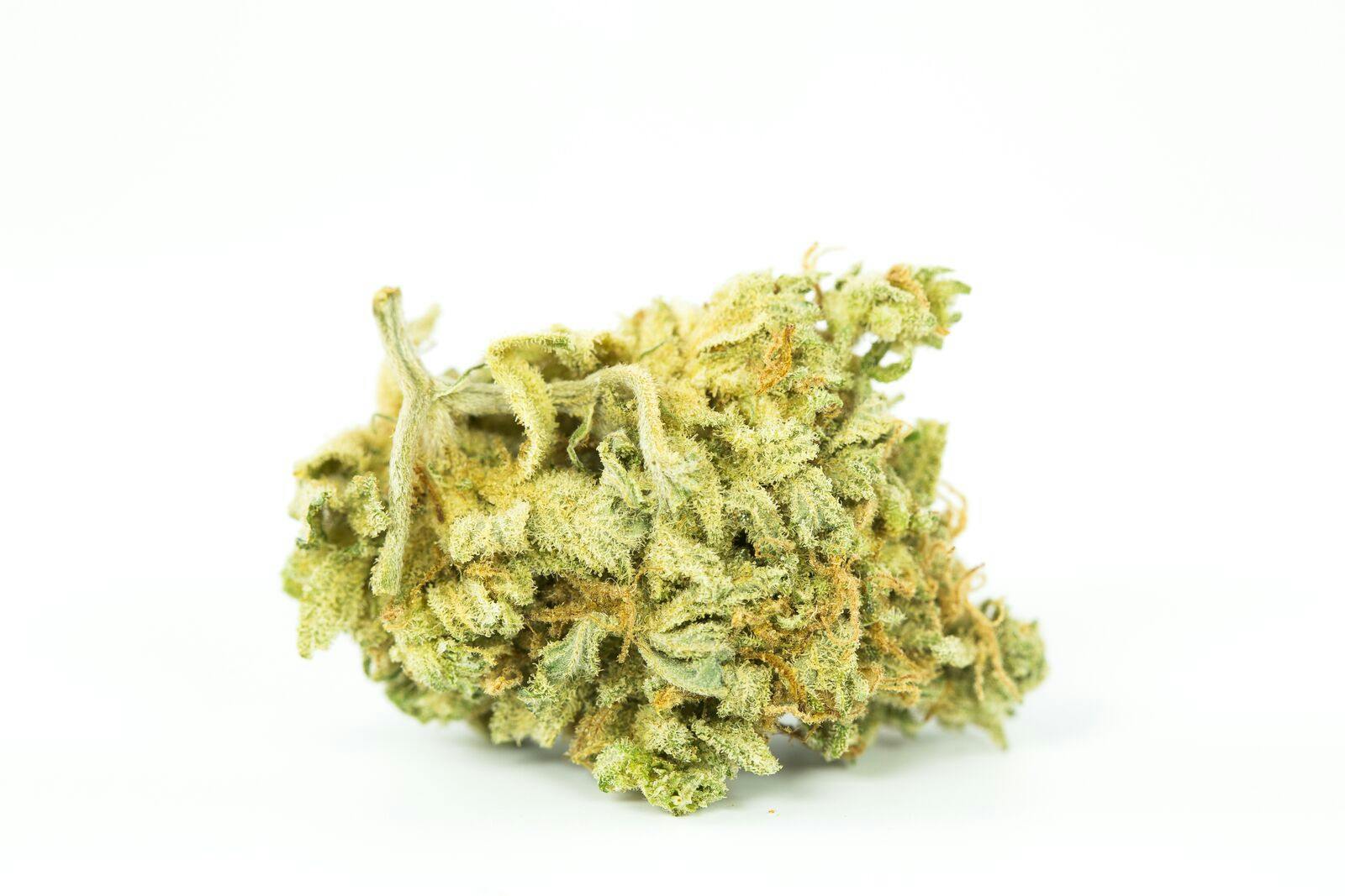 Medibud Weed; Medibud Cannabis Strain; Medibud Hybrid Marijuana Strain