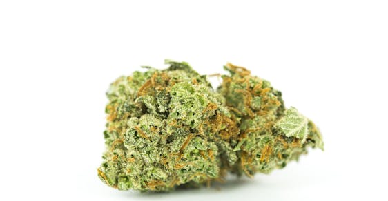 Orange Velvet Weed; Orange Velvet Cannabis Strain; Orange Velvet Hybrid Marijuana Strain