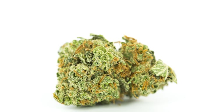 Orange Velvet Weed; Orange Velvet Cannabis Strain; Orange Velvet Hybrid Marijuana Strain