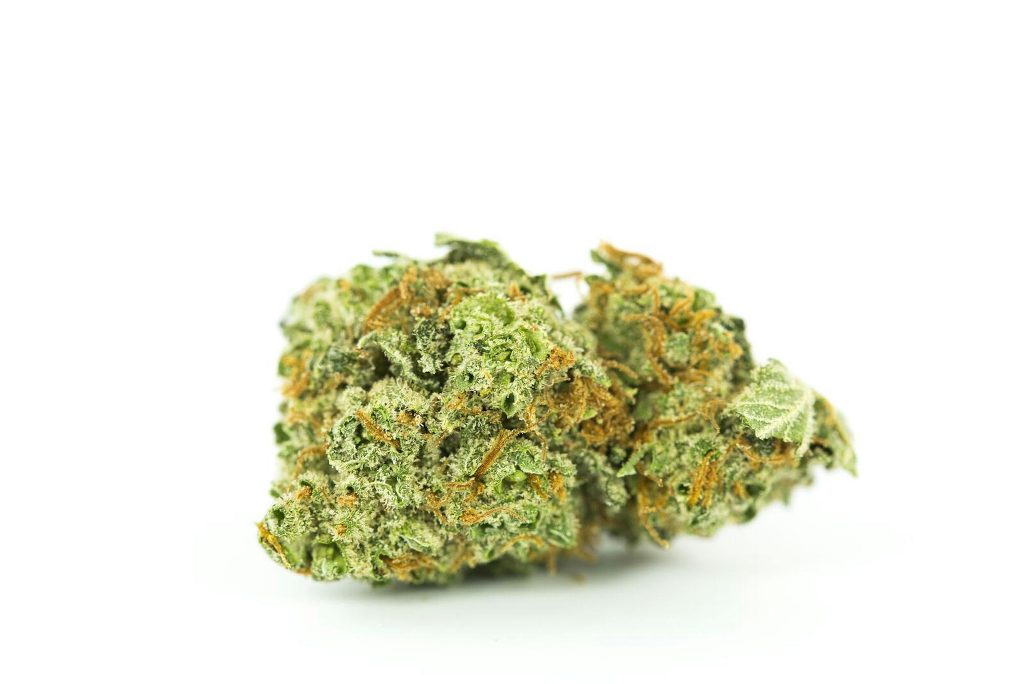 Orange Velvet Strain of Marijuana Weed Cannabis Herb Herb