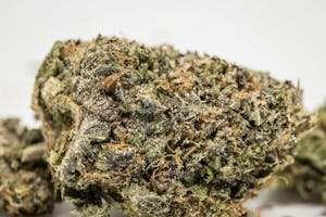 Pink Panther Marijuana Strain