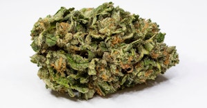 Strains Sense: Guava Dawg