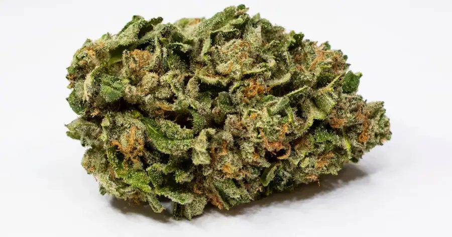 What Is Hash Rosin? Everything You Need To Know