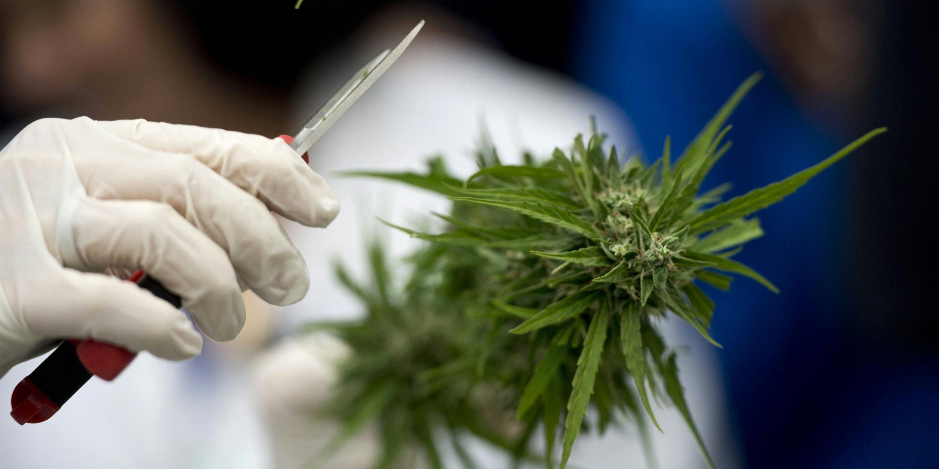 This might be the first cannabis-based drug to get approved