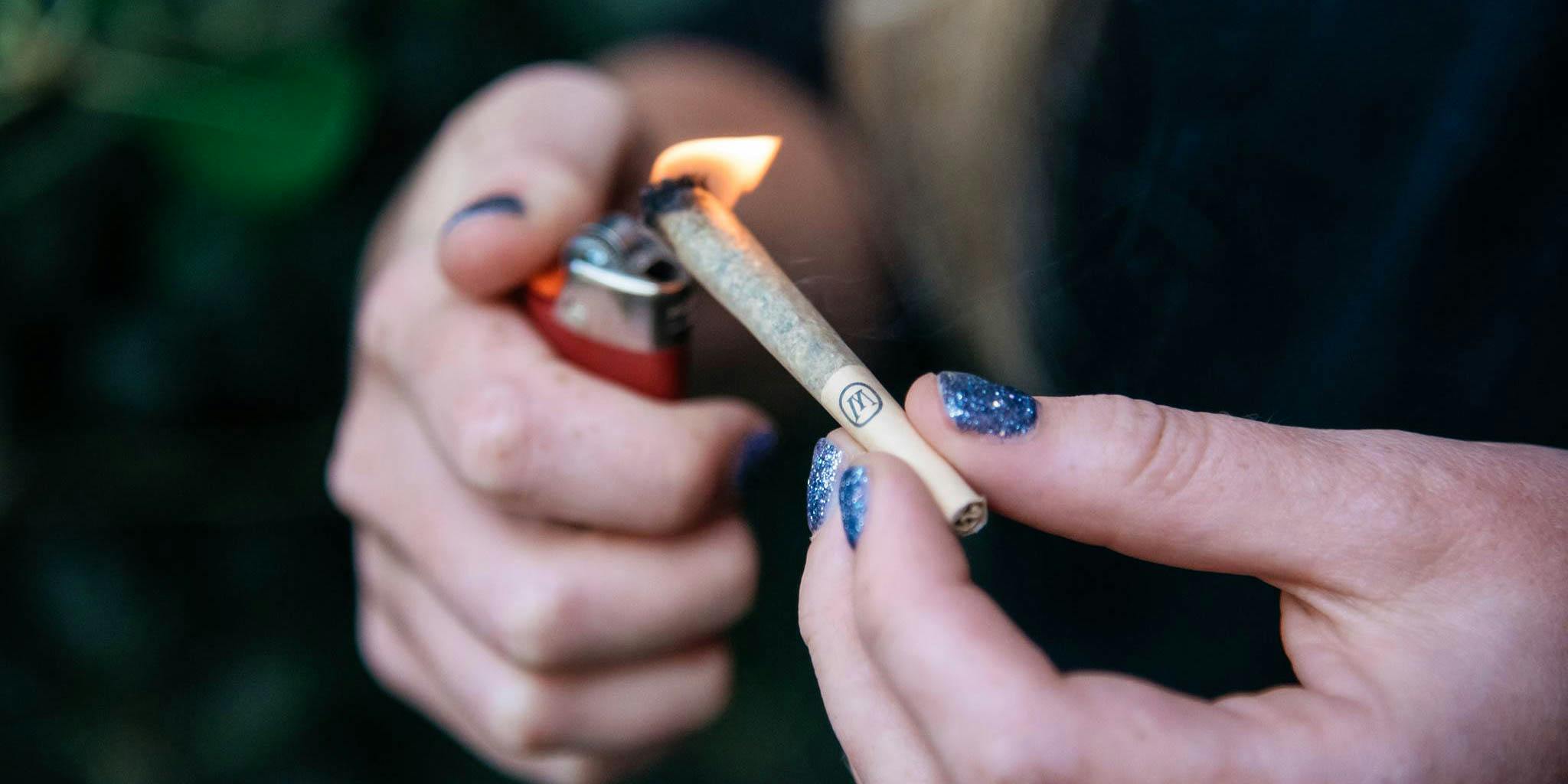 One in five cannabis doctors in Florida has participated in malpractice