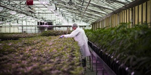 America’s Largest Liquor Distributor, Southern Glazer’s, Enters The Canadian Weed Market