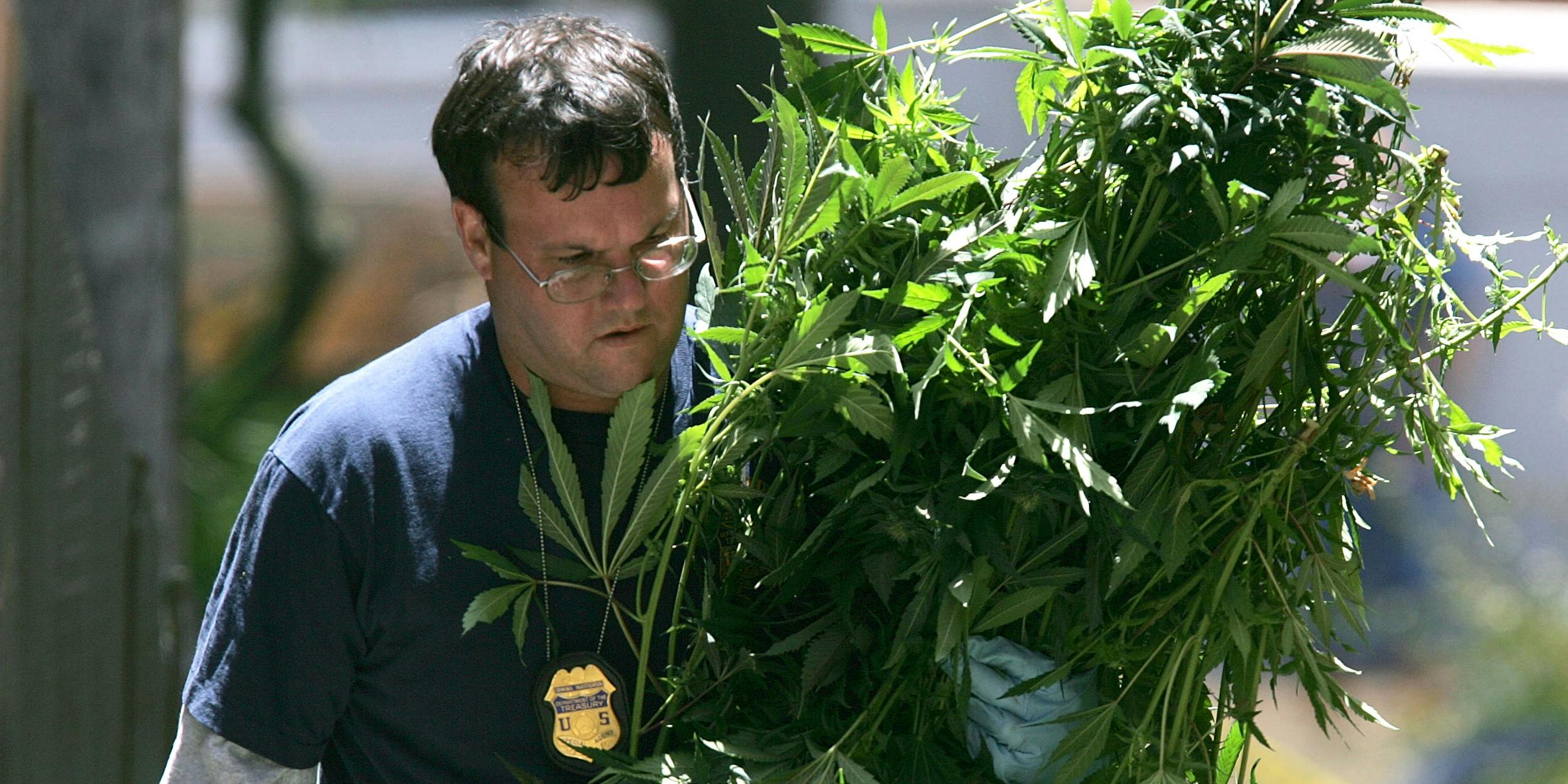 Federal Agents Raid Medical Marijuana Club in 2005