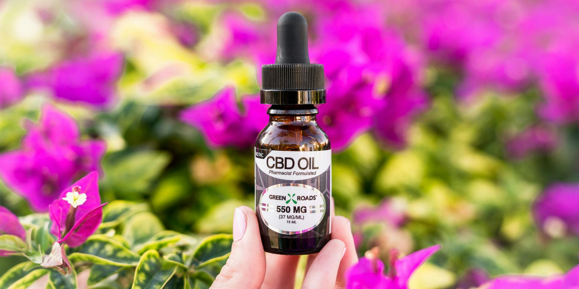CBD Oils Can Regulate Your Endocannabinoid System, But Can They Also Cure Pain?