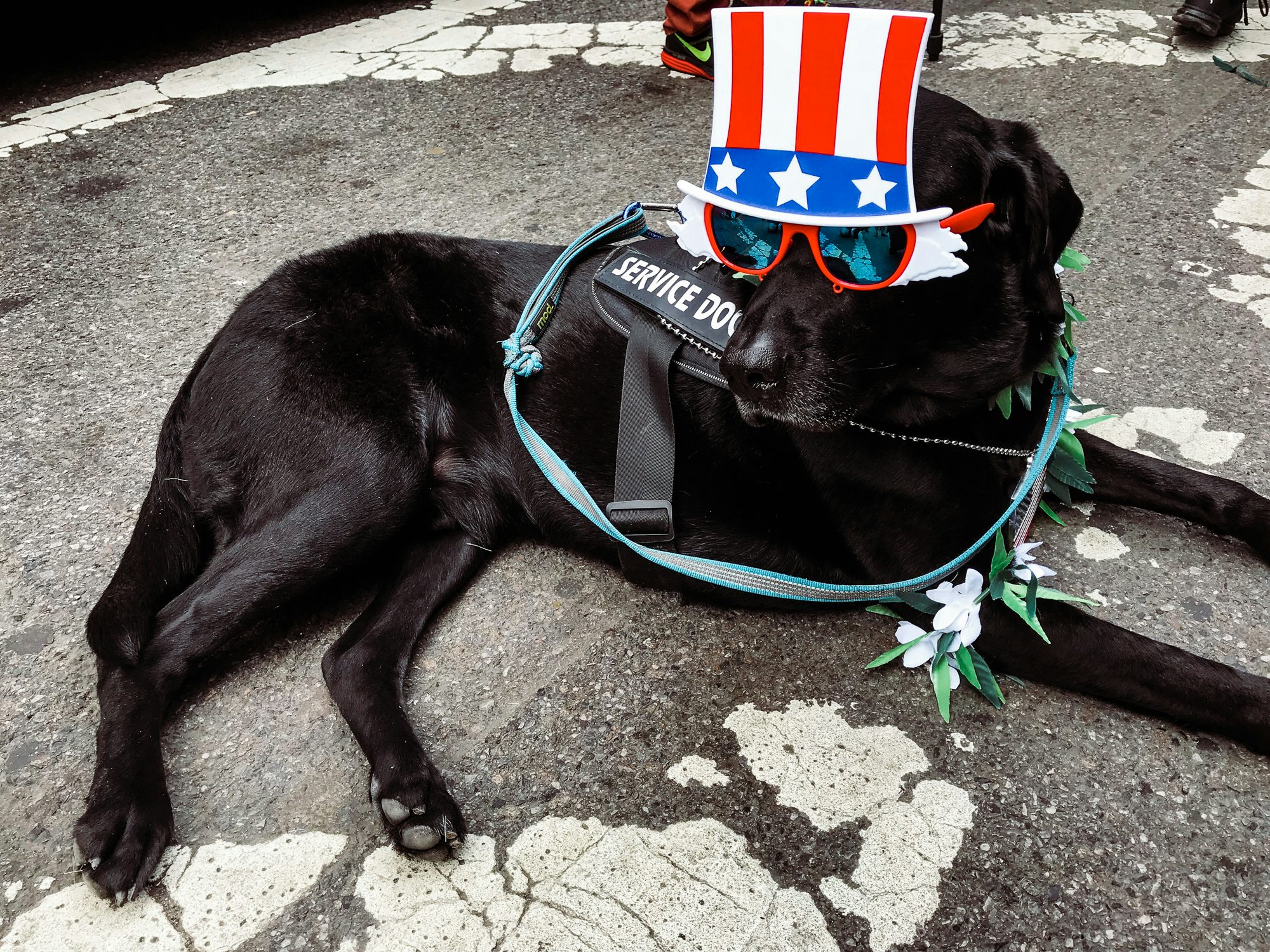 IMG 0836 Study Confirms That Alcohol And Tobacco Are Way More Dangerous Than Cannabis