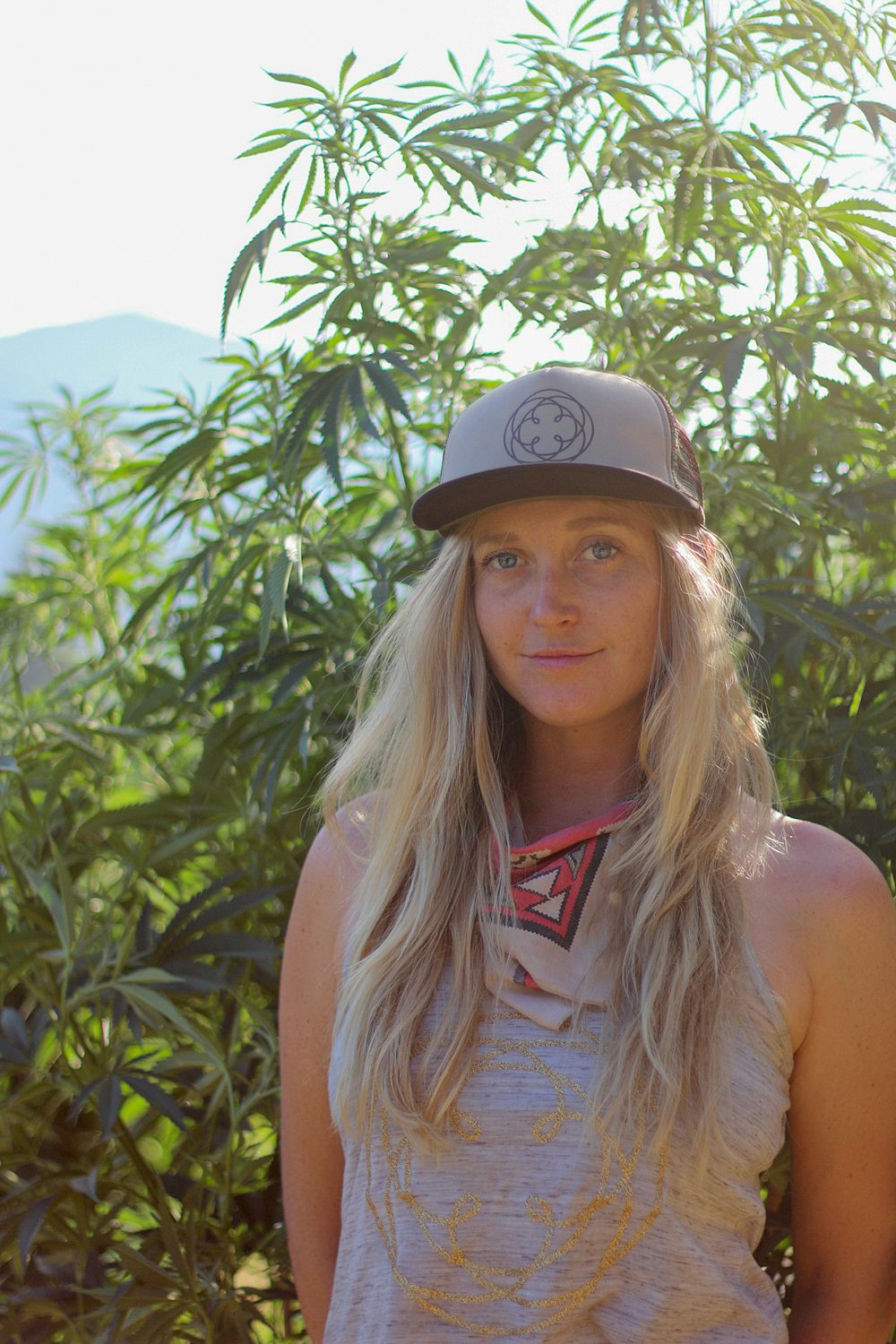 IMG 8303 copy Study Confirms That Alcohol And Tobacco Are Way More Dangerous Than Cannabis