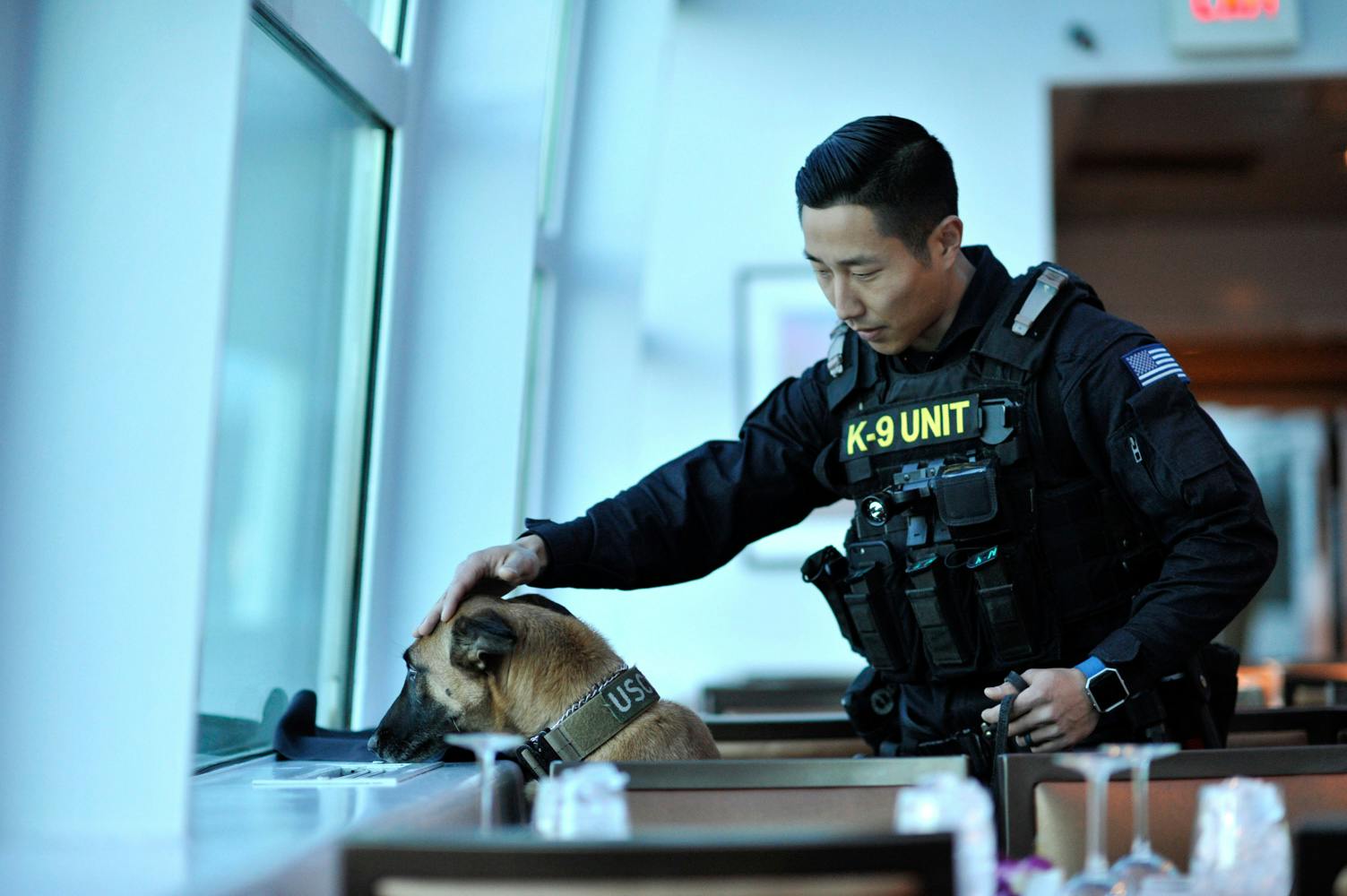 Illinois Cops Claim If Weed Is Legalized Theyll Have To Kill Their Police Dogs 2 Illinois police claim that cannabis legalization will force them to euthanize K 9 police dogs