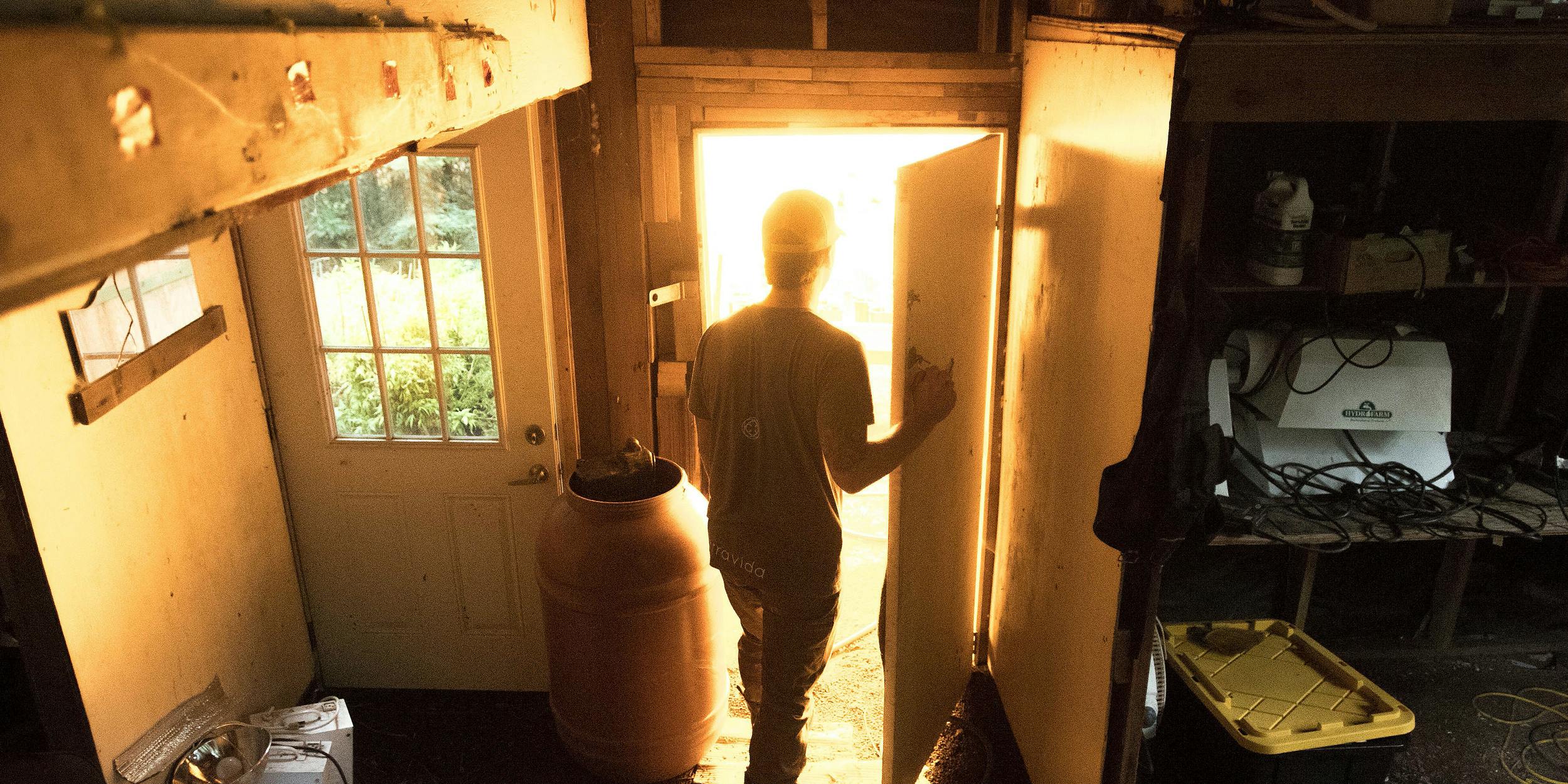 Photos of Trinity County Cannabis Farmers Struggling To Survive Legalization