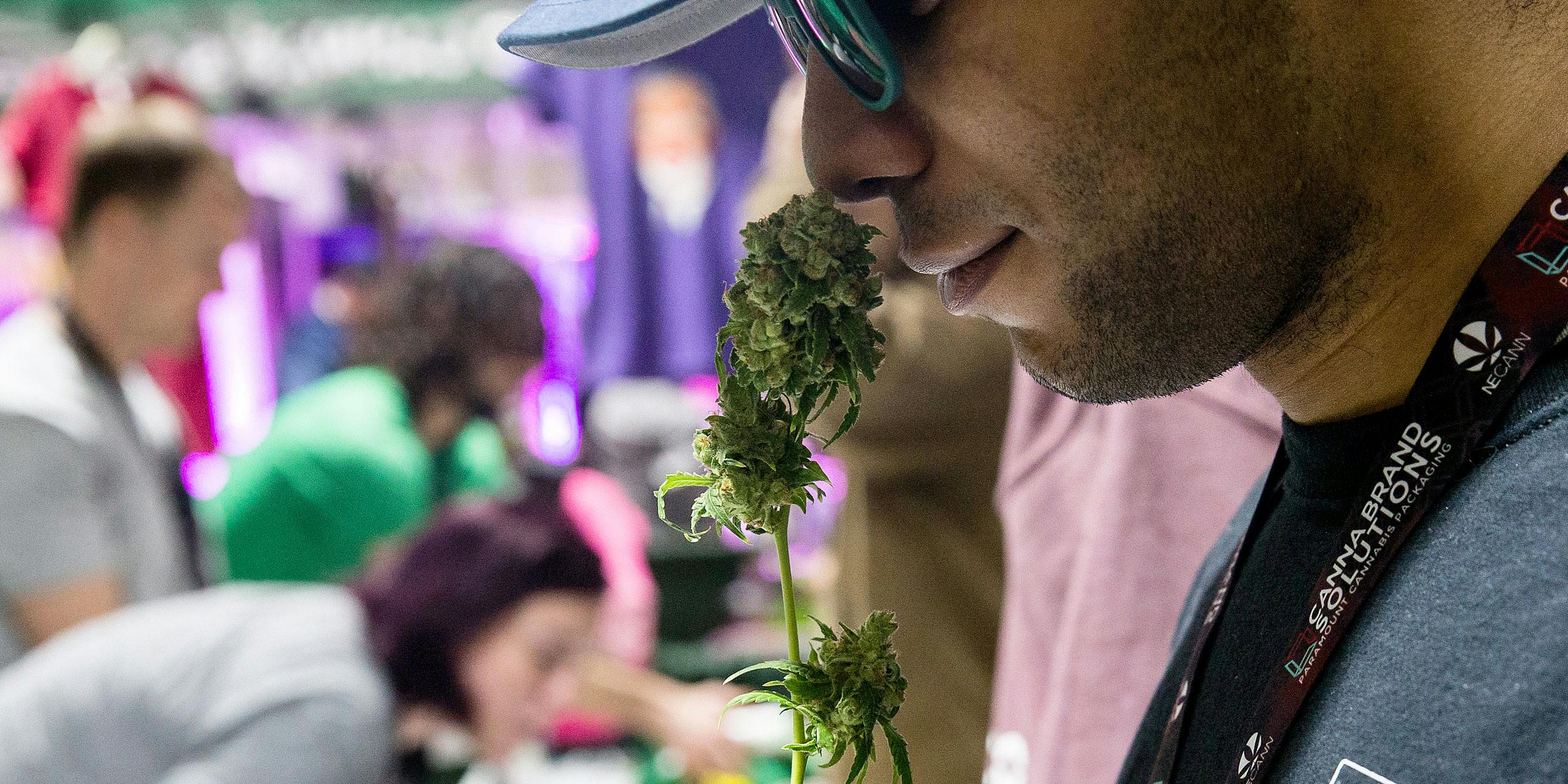 Massachusetts Pot Shops To Open On July 1. But There Won't Be Many Of Them.