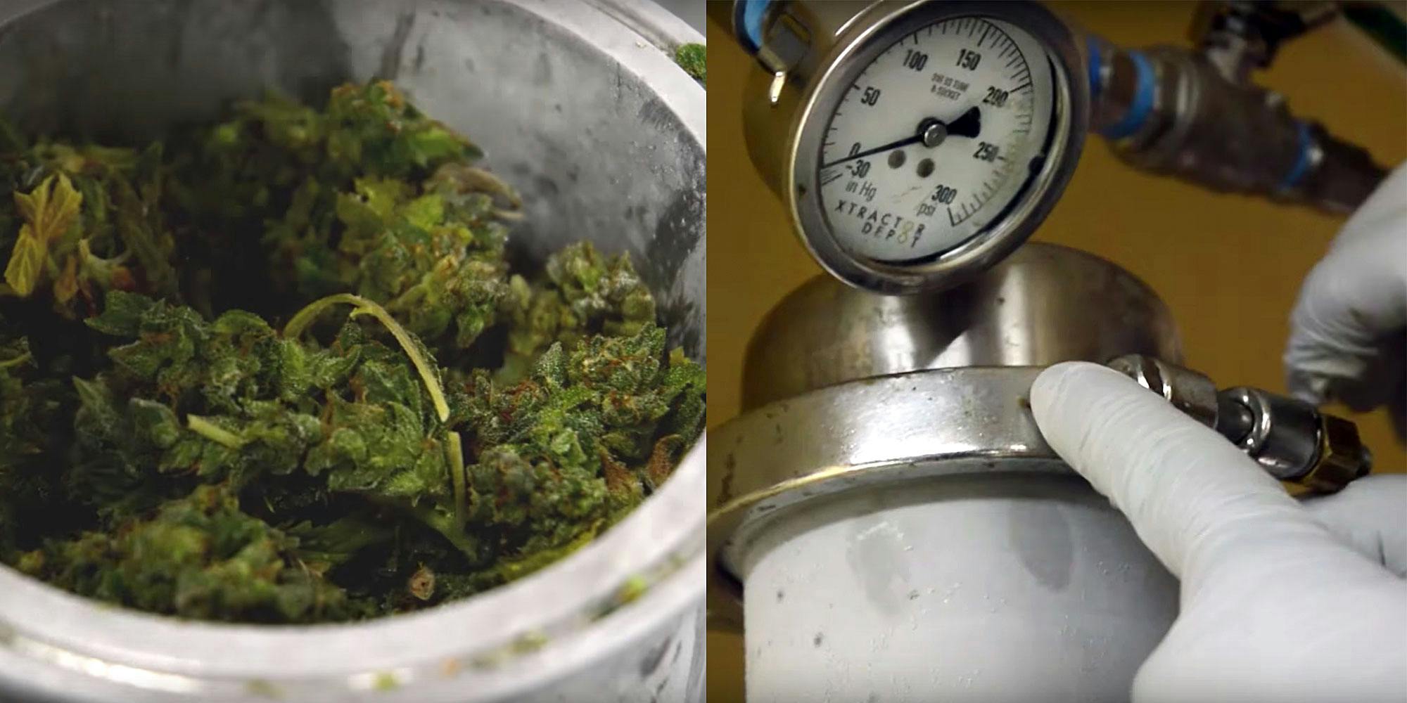 Maine apartment fire homemade cannabis concentrates