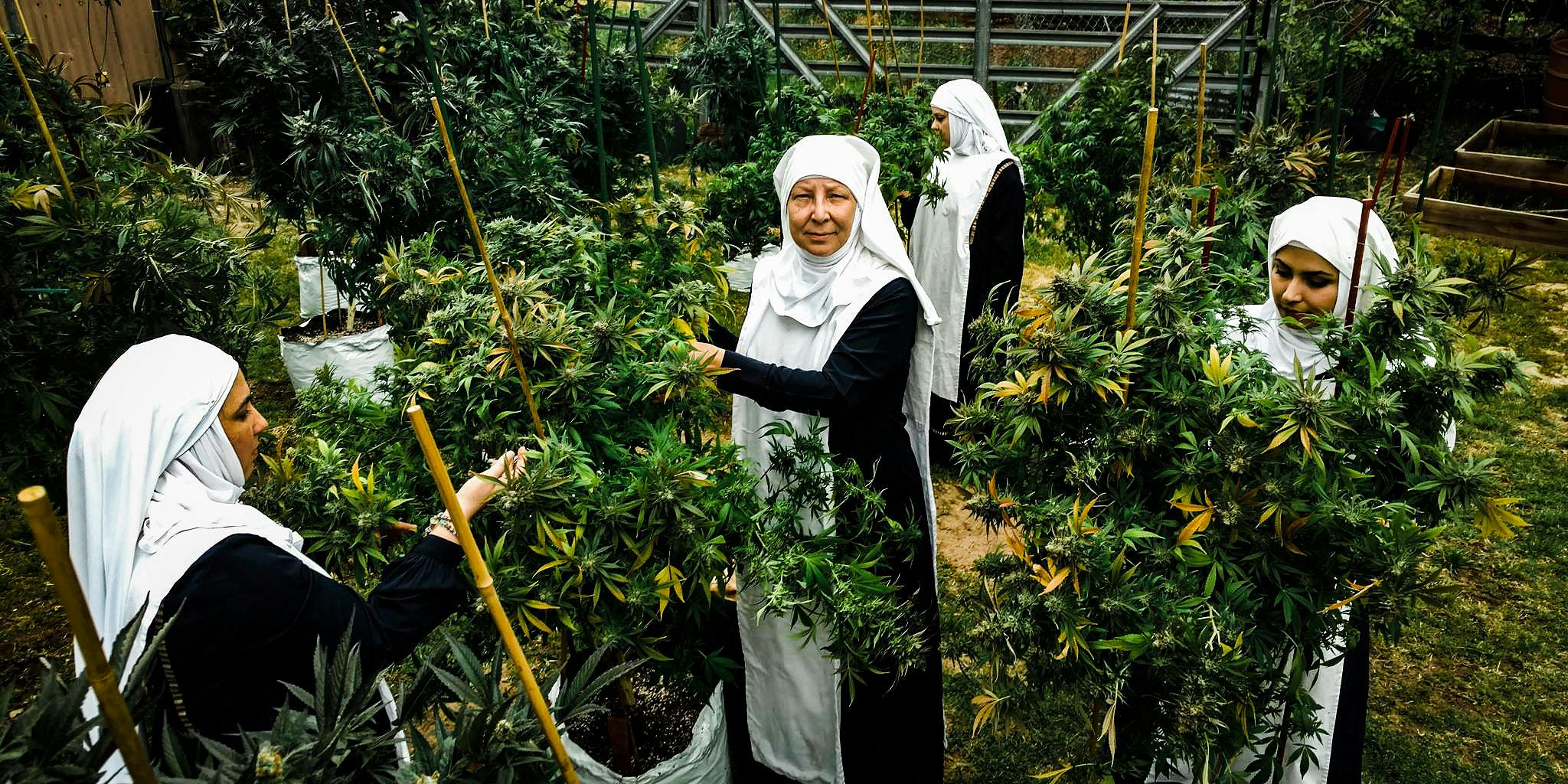 New Documentary Profiles Weed Growing Nuns Will Release This Fall